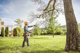 Best Storm Damage Tree Cleanup  in Windber, PA